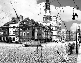 Przestepstwa drogowe