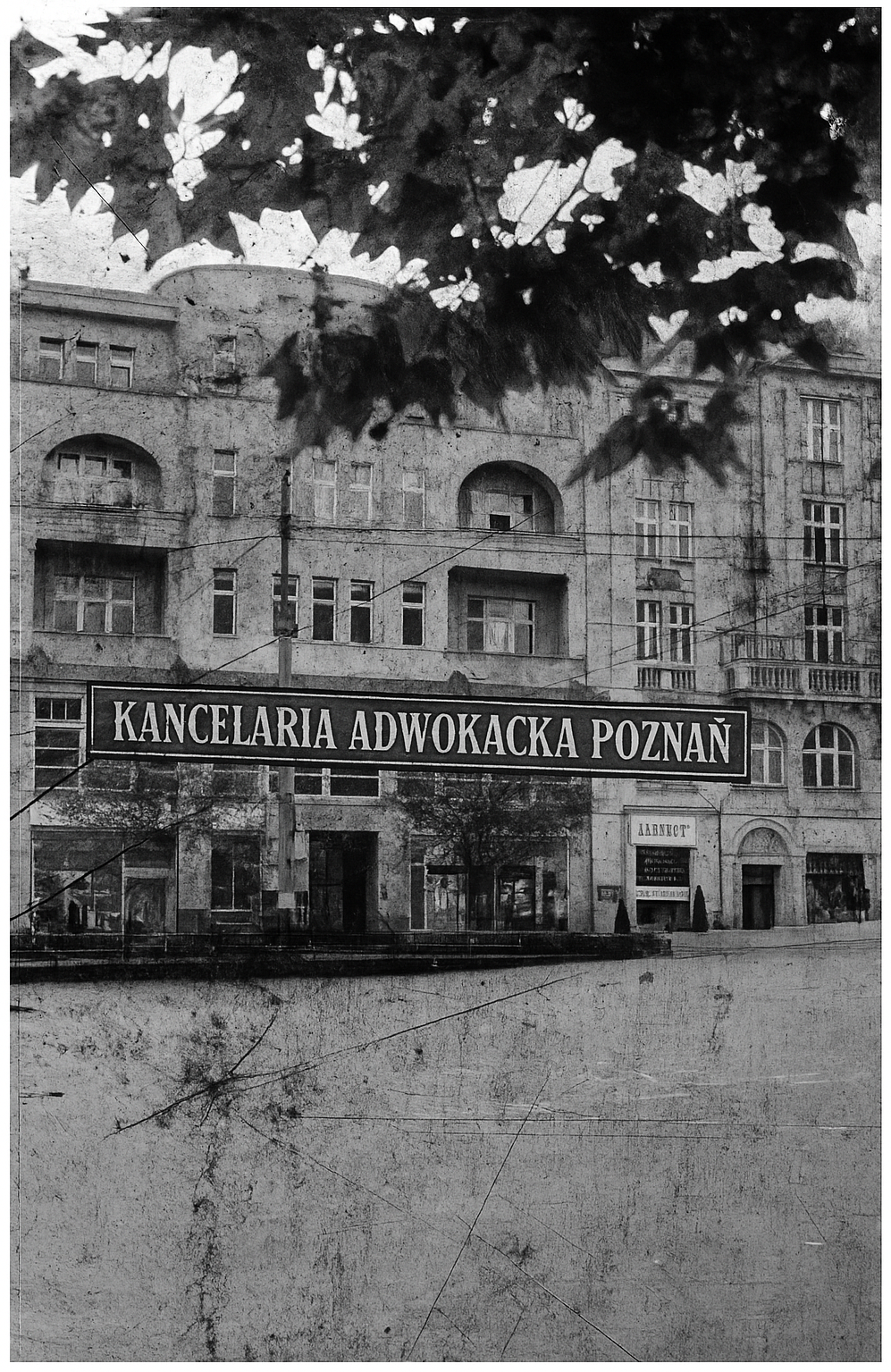 Kancelaria Adwokacka – budynek przy Placu Wolności 8/4 w Poznaniu